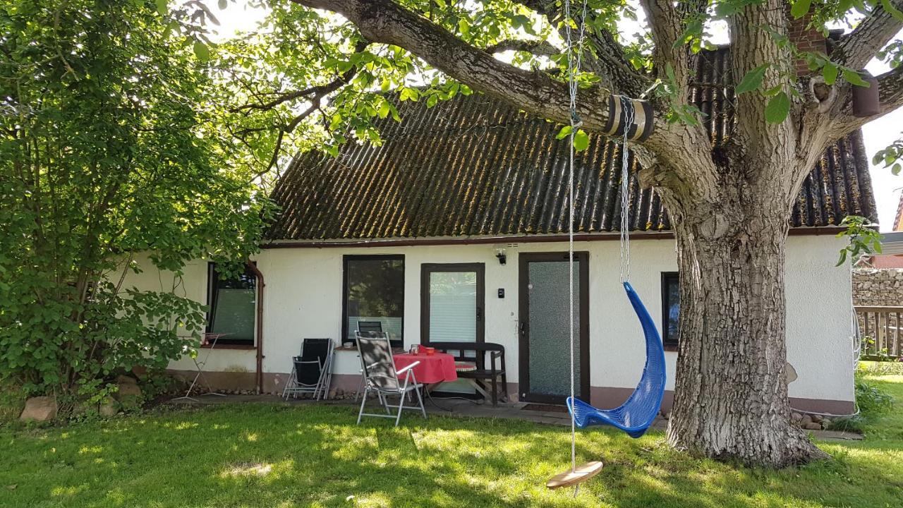 Ferienhaus Kunterbunt II Hitzacker Ngoại thất bức ảnh