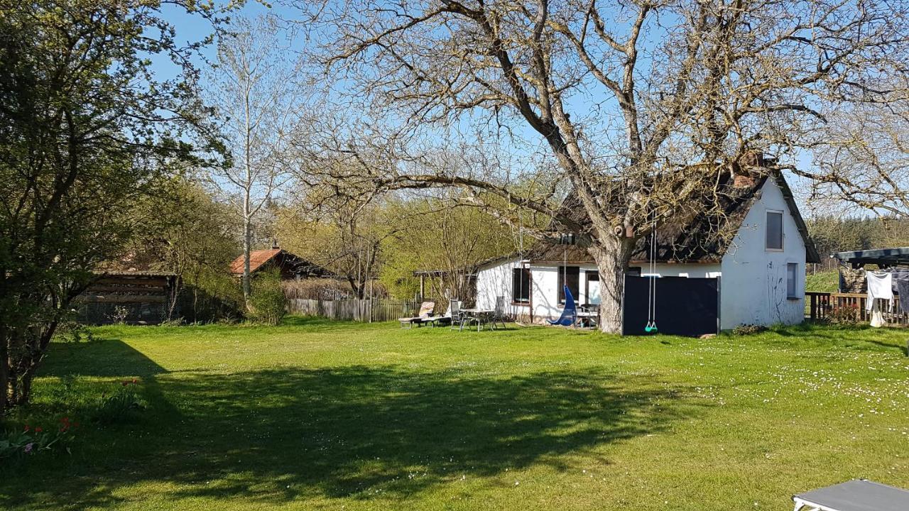 Ferienhaus Kunterbunt II Hitzacker Ngoại thất bức ảnh
